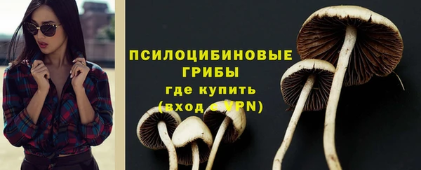 шишки Абинск