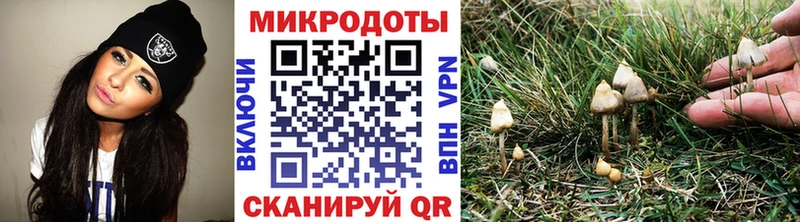 Псилоцибиновые грибы ЛСД  KRAKEN ONION  shop какой сайт  Котельнич 
